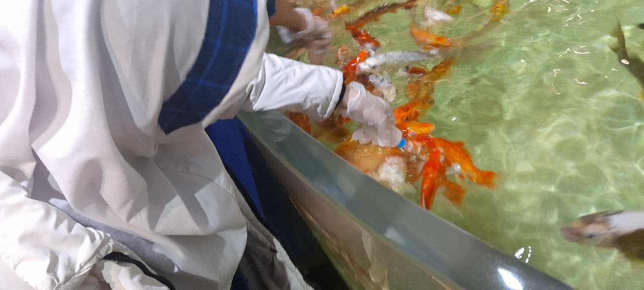 دبستان غیر دولتی مهر عرشیان